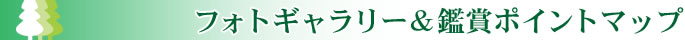 フォトギャラリー＆鑑賞ポイントマップ