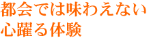 都会では味わえない心躍る体験