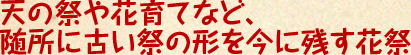 天の祭や花育てなど、随所に古い祭の形を今に残す花祭