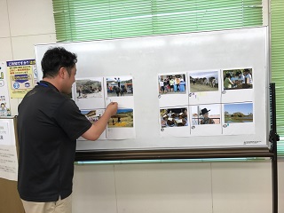 展示の様子